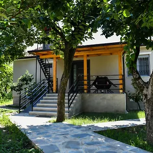 Nicolaus Hidden Gem Shkoder