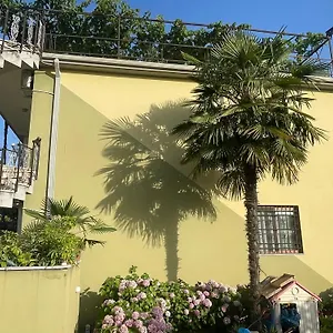 Xhou's Shkoder